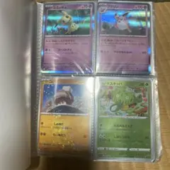ポケモンカードコレクション
