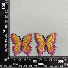 Item thumbnail for item dac944dc-59c9-4ff9-ae55-fa6fb8def054