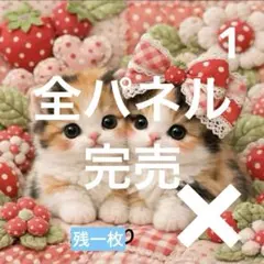 SOLEIL LOLLIPOP SIXTEENタワレコ新宿店限定ポスター単体新品 - メルカリ