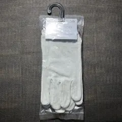 Item thumbnail for item f3e2b496-7fe1-4163-9ebc-d84e968b95f1