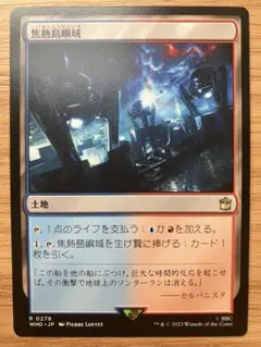MTG 焦熱島嶼域 日本語版 1枚（ドクター・フー）
