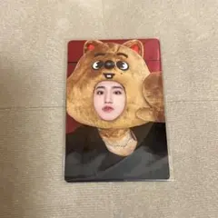 Stray Kids スキズ MAXIDENT SKZOO トレカ クオッカ