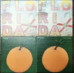FLORIDA コースター 4枚セット