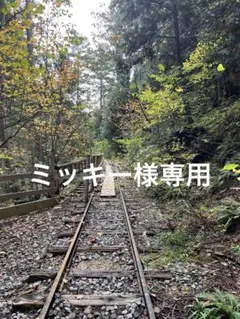 ミッキー様 リクエスト 2点 まとめ商品