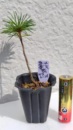 T.T様 リクエスト 2点 まとめ商品