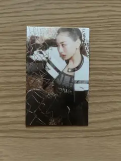 Set me free ジヒョトレカ