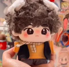 15cmハイクオリティな可愛い着せ替えぬいぐるみ♪ 王一博ぬい 陳情令 15cm ぬいぐるみ 王一博 ぬい服 本体 中国 魔道祖師 着せ替え