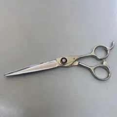 Item thumbnail for item 5dd50a4a-8f36-433a-ac5f-645997e8072c