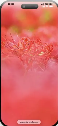 azu_miyu_0319様　専用