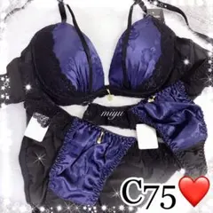 24時間以内発送❣️ネイビーC75❤︎ブラジャー&2ショーツセット✨エメフィール系