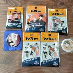 ハイキュー!! アクリルマグネット・缶バッジ・アクリルプレート・ステッカーセット