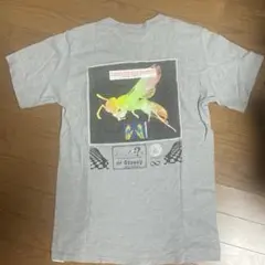 Stussy グレー Tシャツ Sサイズ バックプリント