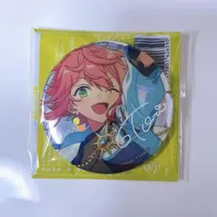 あんさんぶるスターズ!!　あんスタ　缶バッジ　姫宮桃李　9周年