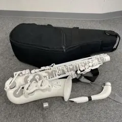 2026年最新】Vibrato SAXの人気アイテム - メルカリ