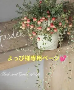 よっぴ様専用ページです•ᴗ•ꕤ*