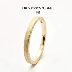 2026年最新】#CHAMPAGNEGOLDの人気アイテム - メルカリ