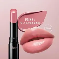 ヴィセ　ネンマクフェイクルージュII PK 851 もっとわがままな肉球