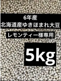 レモンティー様専用