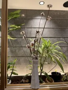 コットンの枝とホワイトとゴールドのストライプ花瓶