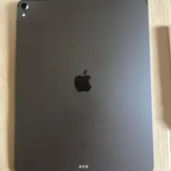 iPad Pro (第3世代)12.9インチ WiFiモデル