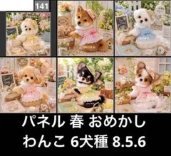 オーダーページ パネル 春 おめかし わんこ6犬種 8.5.6