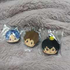 ここあ様専用✶家庭教師ヒットマンREBORN! キーカバー3個セット ツナ雲雀骸