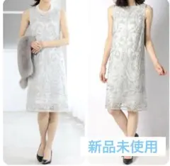 【ANAYI】アナイ　新品　38 M サイズ　レース　ワンピース　テープ刺繍