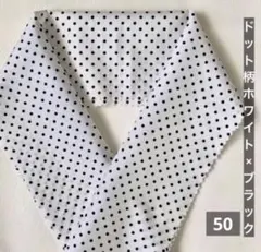 Item thumbnail for item 9f94faa9-cf8d-47a0-b093-9eb8c35f7bc8