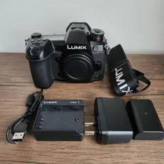 2026年最新】DC-G9の人気アイテム - メルカリ