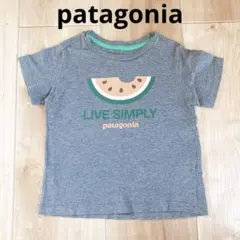 パタゴニア 90cm 男女兼用 男の子 女の子 半袖 Tシャツ トップス 夏