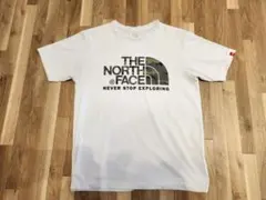 Item thumbnail for item fb300682-72e6-4b86-b1ed-ed8363a918cb