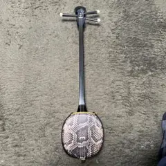 三線本体 ヘビ柄 人工皮革　ハードケース付き