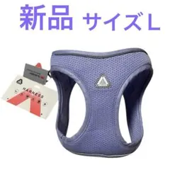 Item thumbnail for item 33b6e8dd-81ef-499a-9163-e48a319c5a78