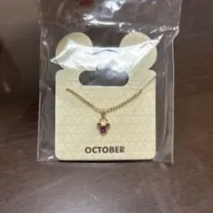 ディズニーランド アメリカ フロリダ ネックレス 10月 Octoberのサムネイル