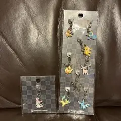 ポケモンセンター　全国ずかんメタルチャーム イーブイ　ブイズ　コンプリートセット