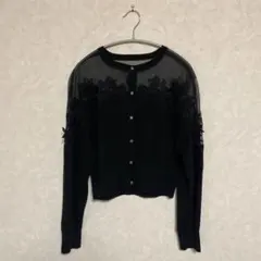 美品SNIDEL スナイデル デコルテシアーエンブロイダリーニットプルオーバー