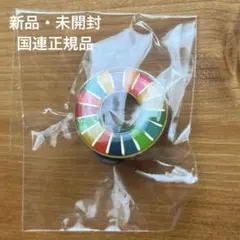 【国連本部純正品】SDGs ピンバッジ【新品未使用】