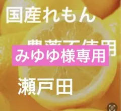 みゆゆ様専用レモン