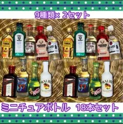 ミニボトル　ミニチュアボトル　18本セット　新品未使用　9種類×2セット
