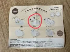 うちの子のけだまだま ガチャガチャ トライカラーチワワ