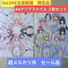送料無料☆2枚組 結城美柑 A4クリアファイルとらぶるToLOVEる