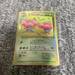 ひなたろす様 リクエスト 2点 まとめ商品