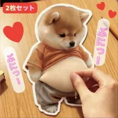 おなかぷにぷにシール 2枚 お腹 柴犬 シール 3D立体 ステッカー スクイーズ