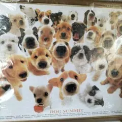 ビバリー1000pドッグサミットのサムネイル