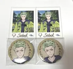 ツイステ展 セベク 缶バッジ ランダムカードコレクション 4点