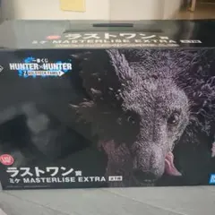 HUNTER×HUNTER MASTERLIZE EXTRA