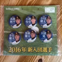 SoftBank Hawks 新入団選手バッジセット 2016-2018