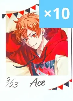 【10枚セット】ツイステ　くつろぎマイルーム　フォトカード　エース