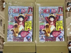 ワンピースマガジン　vol.20 ルフィ　付録プロモカード付き　2冊