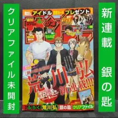 週刊少年サンデー 2013年7号 銀の匙 特製クリアファイル　荒川弘 週刊少年サンデー 2013年7号 銀の匙 特製クリアファイル 荒川弘 - メルカリ